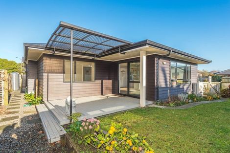 Photo of property in 28 Purnell Street, College Estate, Whanganui, 4500