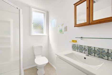 Photo of property in 7 Salisbury Avenue, Mount Cook, Wellington, 6021