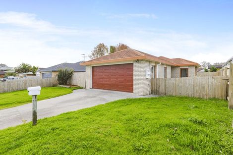 Photo of property in 17 Marblewood Grove, Pukekohe, 2120