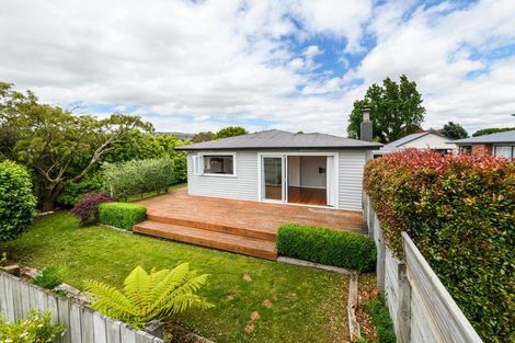 Photo of property in 51 Lincoln Street, Ashhurst, 4810