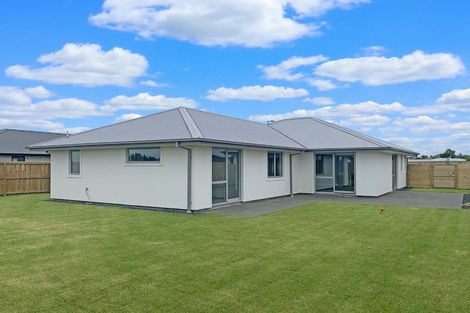 Photo of property in 29 Strowan Avenue, Elgin, Ashburton, 7700