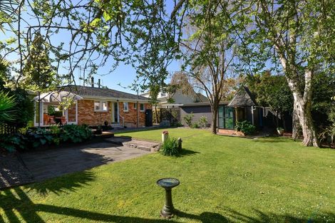 Photo of property in 3 Sussex Street, Chartwell, Hamilton, 3210