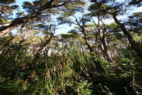 Photo of property in 27 Swiftsure Street, Collingwood, 7073