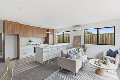 Photo of property in 2/17 Clark Street, Levin, 5510