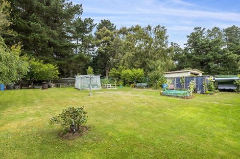 Photo of property in 18 Stewart Street, Waikouaiti, 9510