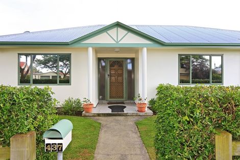 Photo of property in 437 Hemi Street, Raureka, Hastings, 4120