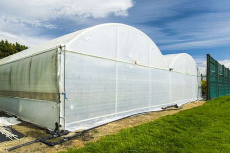 Photo of property in 638 Nelson Road, Makauri, Gisborne, 4071