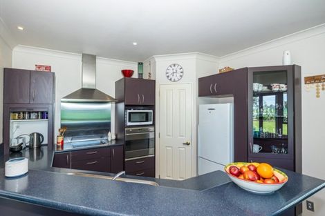 Photo of property in 119 Orari Back Road, Geraldine, 7992