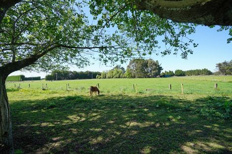 Photo of property in 243 Curran Road, Otatara, Invercargill, 9879