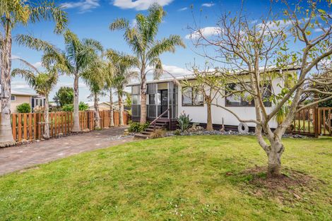 Photo of property in 8 Wiseley Place, Morrinsville, 3300