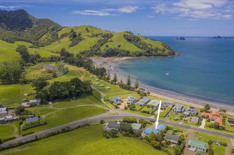 Photo of property in 113 Wharekaho Sh25 Road, Wharekaho, Whitianga, 3592