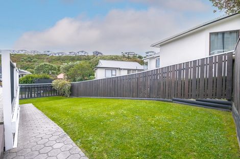 Photo of property in 60 Erris Street, Johnsonville, Wellington, 6037