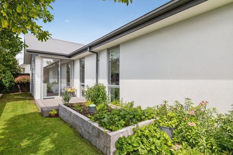 Photo of property in 17 Waterstock Way, Parklands, Christchurch, 8083