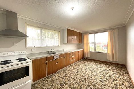 Photo of property in 110b Norfolk Street, Saint Clair, Dunedin, 9012