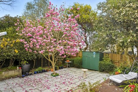 Photo of property in 79 Kawiu Road, Levin, 5510