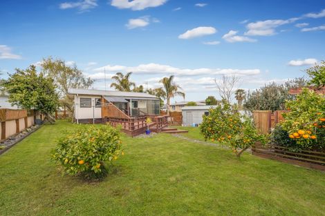 Photo of property in 8 Wiseley Place, Morrinsville, 3300