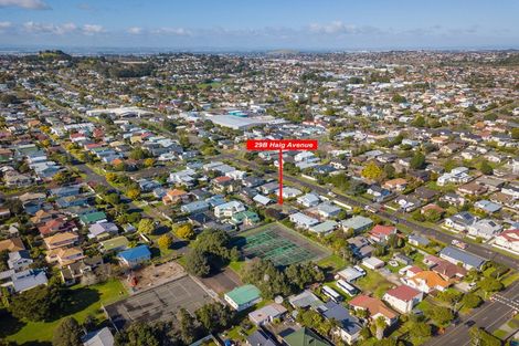 Photo of property in 29b Haig Avenue, Mount Roskill, Auckland, 1041
