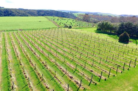 Photo of property in 3156 State Highway 10, Kaeo, Kerikeri, 0295