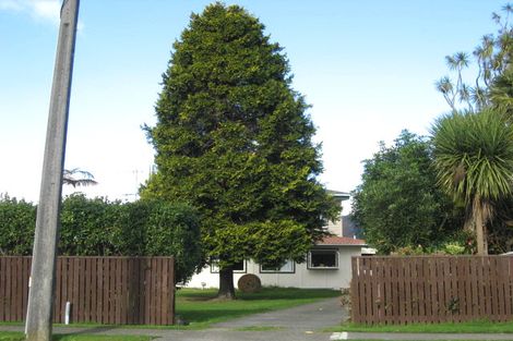 Photo of property in 188 Bartholomew Road, Levin, 5510
