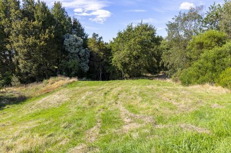 Photo of property in 169a Mapara Road, Acacia Bay, Taupo, 3385