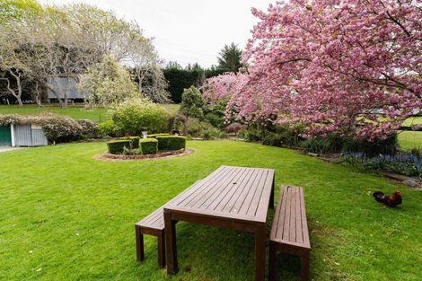 Photo of property in 108 Limeworks Road, Circle Hill, Milton, 9291