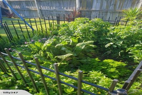 Photo of property in 23 James Henry Crescent, Huntly, 3700