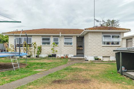 Photo of property in 9 Beatty Street, Levin, 5510