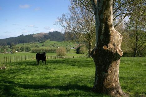 Photo of property in 192 Karapiro Road, Karapiro, Cambridge, 3496