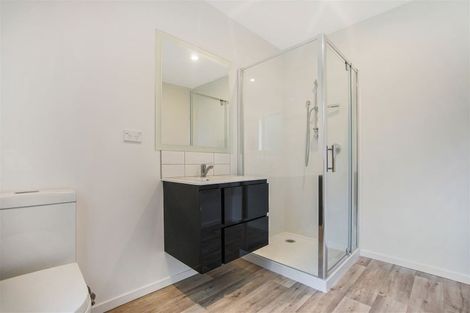 Photo of property in 44 Mountain Road, Epsom, Auckland, 1023