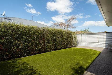 Photo of property in 241a Scott Street, Redwoodtown, Blenheim, 7201