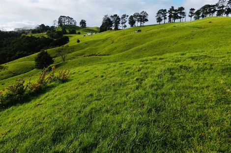 Photo of property in 567 Wharehine Road, Wharehine, Wellsford, 0973