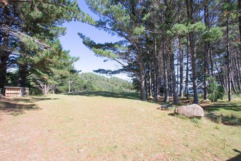 Photo of property in 50f Paul Road, Whenuakite, Whitianga, 3591