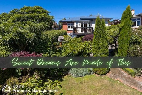 Photo of property in 65 Hunt Street, Andersons Bay, Dunedin, 9013