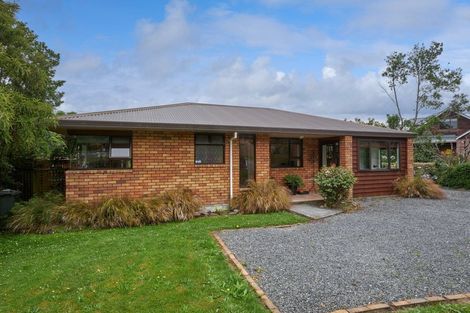 Photo of property in 283b Scarborough Street, Kaikoura, 7300
