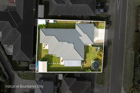 Photo of property in 4 Nolan Place, Katikati, 3129