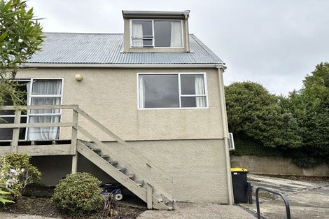 Photo of property in 17 Aitken Place, Mornington, Dunedin, 9011