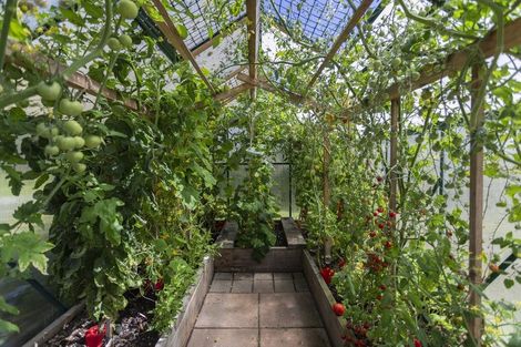 Photo of property in 12 Tamar Street, South Hill, Oamaru, 9400