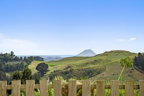 Photo of property in 228 Warner Road, Oropi, Tauranga, 3173