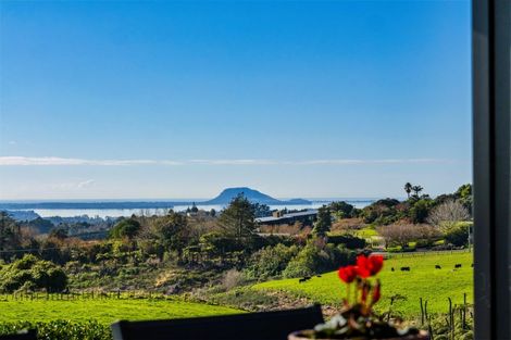 Photo of property in 533 Wainui Road South, Whakamarama, Tauranga, 3180