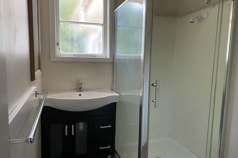 Photo of property in 391 Peachgrove Road, Fairfield, Hamilton, 3214