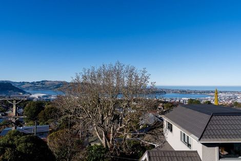 Photo of property in 10 Garfield Avenue, Roslyn, Dunedin, 9010