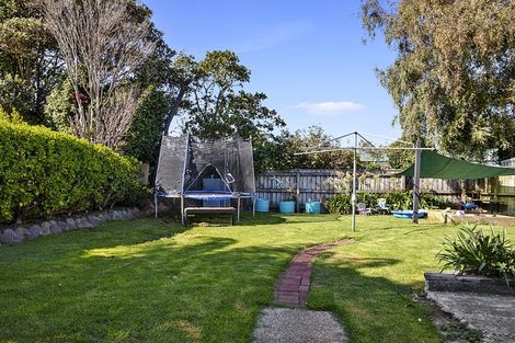 Photo of property in 17 Massey Street, Westown, New Plymouth, 4310