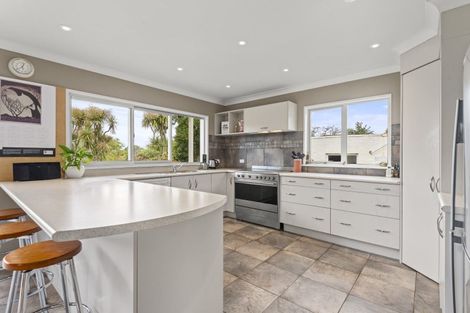 Photo of property in 38a Manson Street, Terrace End, Palmerston North, 4410