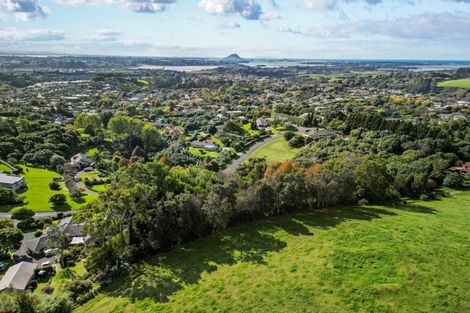 Photo of property in 3175l Ohauiti Road, Ohauiti, Tauranga, 3173