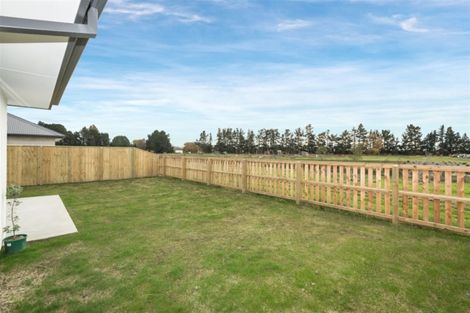 Photo of property in 6 Clegg Street, Woodend, 7610