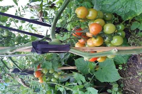 Photo of property in 20 Fairview Terrace, Sawyers Bay, Port Chalmers, 9023