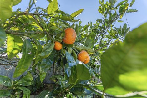 Photo of property in 1/117 Seaview Road, Westown, New Plymouth, 4310