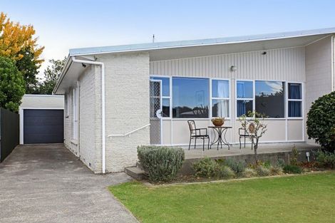 Photo of property in 910b Rata Street, Mahora, Hastings, 4120