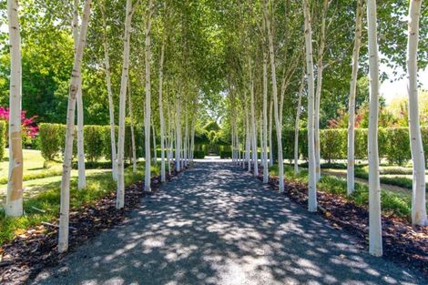 Photo of property in 119 West Road, Ohaupo, 3881