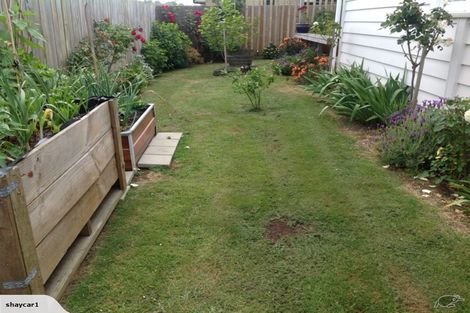 Photo of property in 38 Jellicoe Avenue, Tuakau, 2121